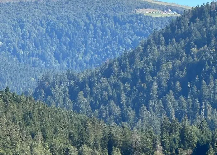 Loue Mon Petit Bonheur A Longemer Pour 1 A 2 Personnes * Xonrupt-Longemer